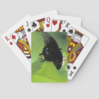 Jeu De Cartes Fiches enormes de machaon noir