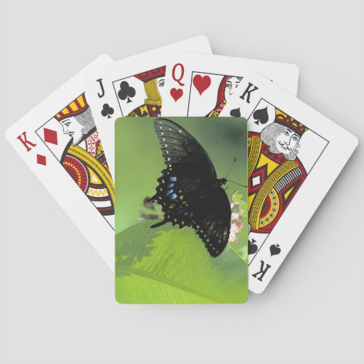 Jeu De Cartes Fiches enormes de machaon noir (dos)
