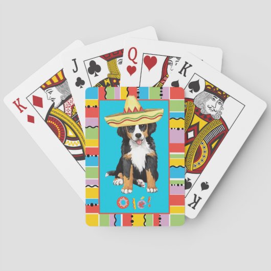 Jeu De Cartes Fiesta Berner (dos)