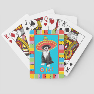 Jeu De Cartes Fiesta PWD