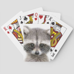 Jeu De Cartes Figure de dessin Raccoon sur les cartes de lecture