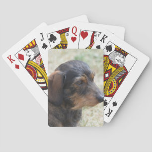Jeu De Cartes Fil mignon Daschund d'une chevelure