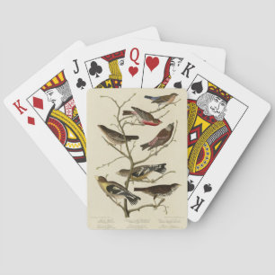 Jeu De Cartes Finch, Bunting, Grosbeak, Audubon Birds of America