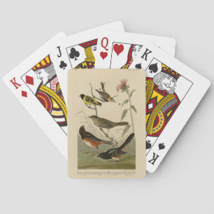 Jeu De Cartes Finch, Towhee, Sparrow, Audubon's Birds of America