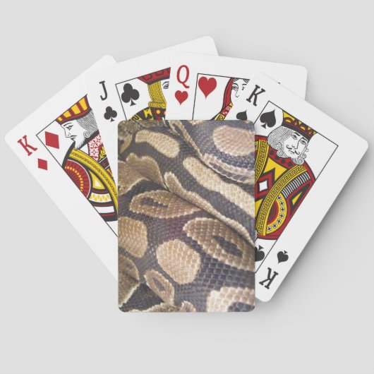 Jeu De Cartes Fiona (dos)