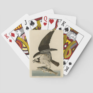 Jeu De Cartes Fish Hawk, Osprey, d'Audubon's Birds of America