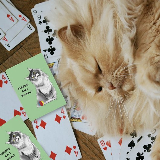 Jeu De Cartes Fixed Kitty