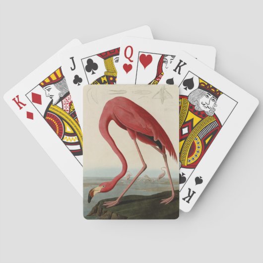 Jeu De Cartes Flamant rose américain d'Audubon's Birds of Americ (dos)