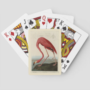 Jeu De Cartes Flamant rose américain d'Audubon's Birds of Americ