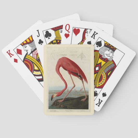 Jeu De Cartes Flamant rose américain d'Audubon's Birds of Americ (dos)