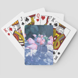 Jeu De Cartes Flamant rose debout