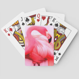 Jeu De Cartes Flamant rose rose