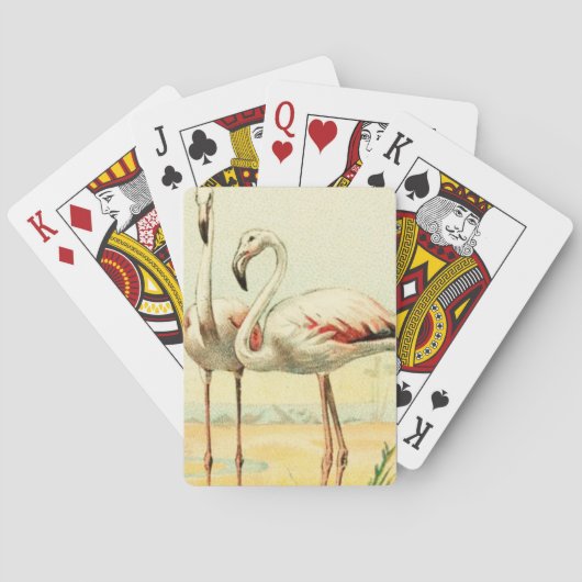 Jeu De Cartes Flamant Rose Vintage (dos)