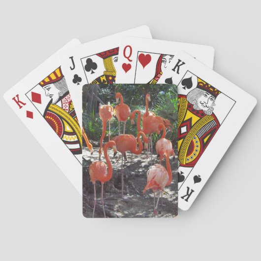 Jeu De Cartes Flamants roses roses (dos)