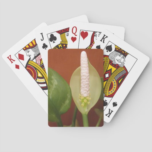 Jeu De Cartes Fleur À feuillage persistant chinoise (dos)