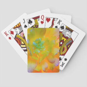 Jeu De Cartes Fleur de bégonia lumineuse Seabeck, WA