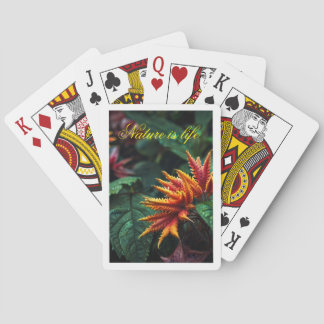 Jeu De Cartes Fleur de feu de la jungle enchantée