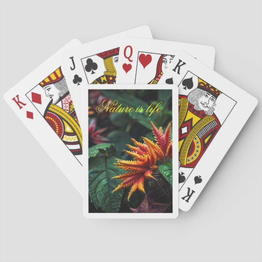 Jeu De Cartes Fleur de feu de la jungle enchantée (dos)