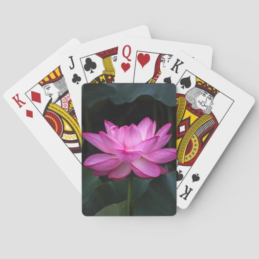Jeu De Cartes Fleur de Lotus (dos)