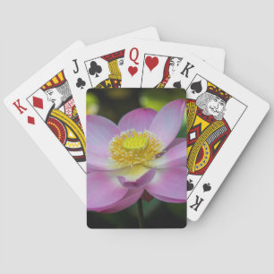 Jeu De Cartes Fleur de lotus en fleurs, Indonésie