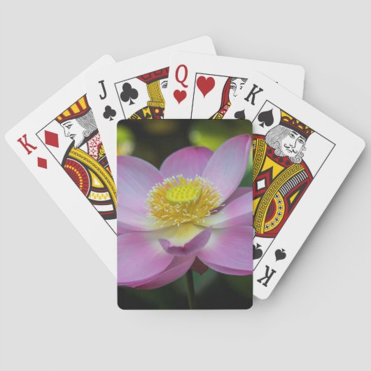 Jeu De Cartes Fleur de lotus en fleurs, Indonésie (dos)