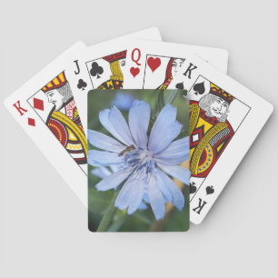 Jeu De Cartes Fleur de Radicchio Bleu N Bee