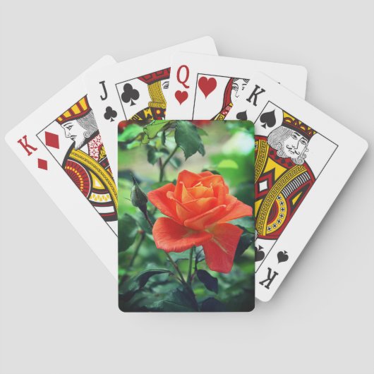 Jeu De Cartes Fleur de rose de la nature-46458 (dos)