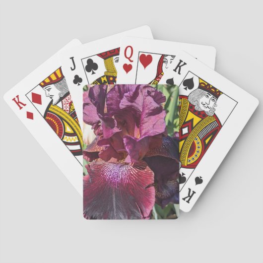 Jeu De Cartes Fleur d'Iris pourpre foncé (dos)