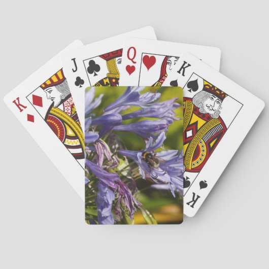 Jeu De Cartes Fleur et abeilles d'Agapanthus (dos)