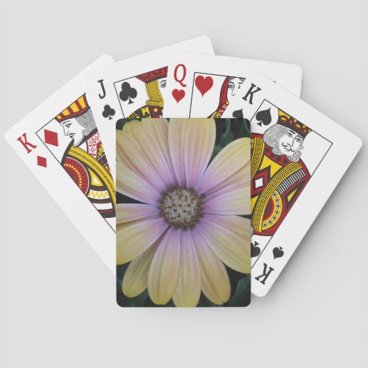 Jeu De Cartes Fleur marguerite jaune et violet (dos)