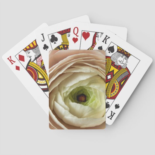 Jeu De Cartes Fleur Ranunculus (dos)