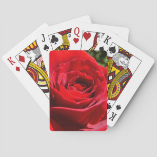 Jeu De Cartes Fleur rose rouge vif Belle florale