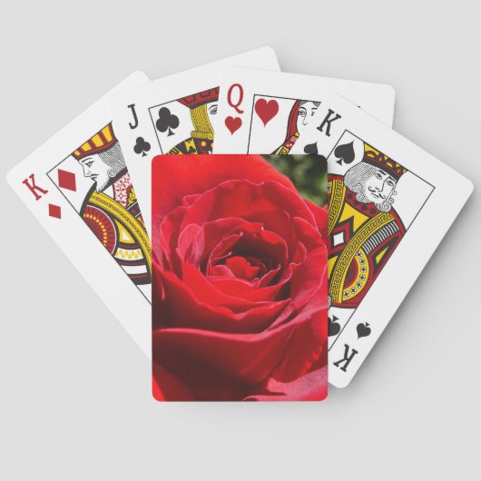 Jeu De Cartes Fleur rose rouge vif Belle florale (dos)