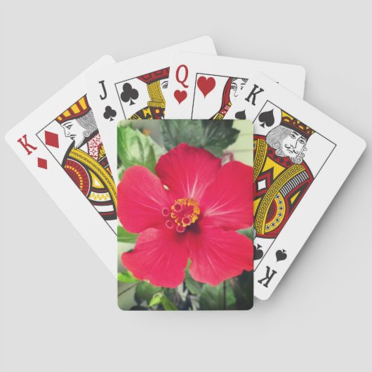 Jeu De Cartes Fleur rouge de Hibiscus Rosa-sinensis (dos)