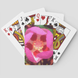 Jeu De Cartes Fleur sauvage Desert Five Spot