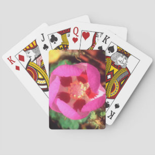 Jeu De Cartes Fleur sauvage Desert Five Spot