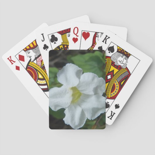 Jeu De Cartes Fleur tropicale blanche trouvée à Fidji (dos)
