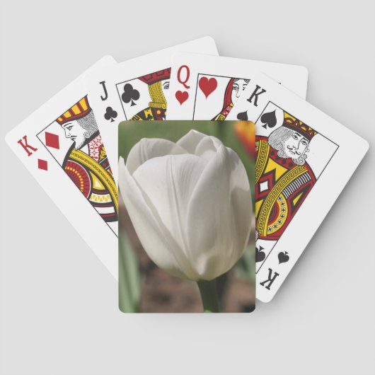 Jeu De Cartes Fleur Tulipe Blanche Au Soleil (dos)