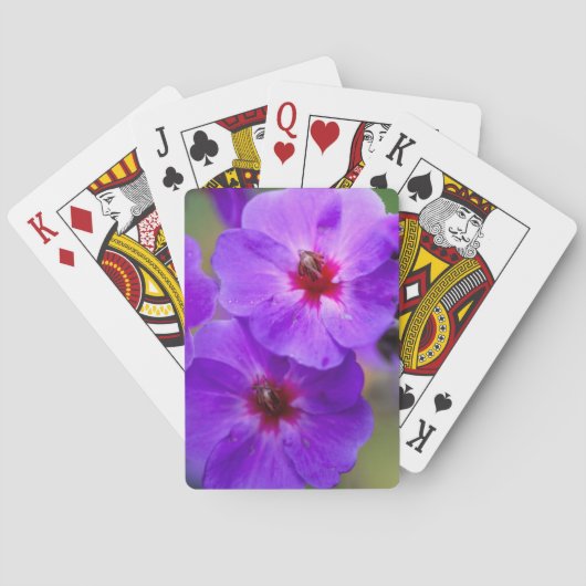 Jeu De Cartes Fleur violette (dos)