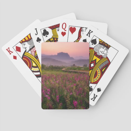 Jeu De Cartes Fleurs | Chiang Dao, Chiang Mai, Thaïlande (dos)