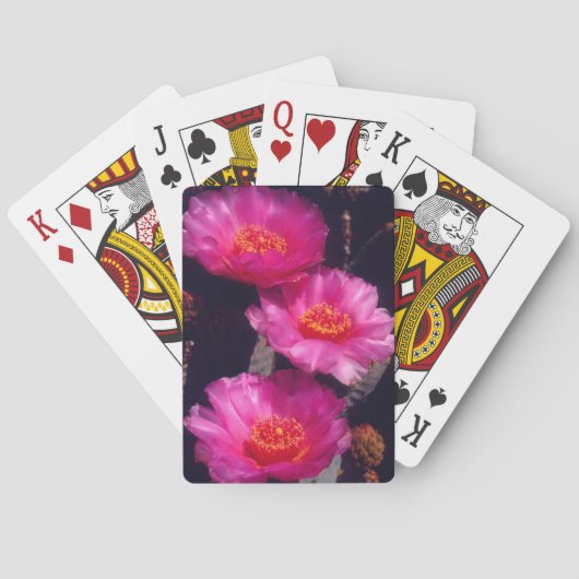 Jeu De Cartes Fleurs de Cactus Beavertail 2 (dos)