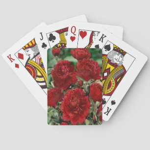Jeu De Cartes Fleurs de carnation rouge Jouer des cartes