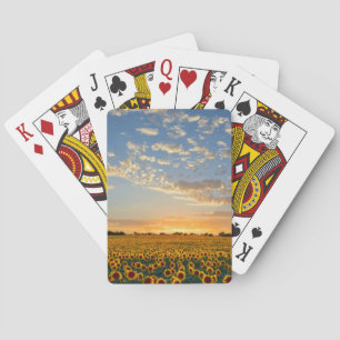Jeu De Cartes Fleurs de soleil au coucher du soleil