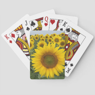 Jeu De Cartes Fleurs de soleil jaunes Floral Campagne Harvest