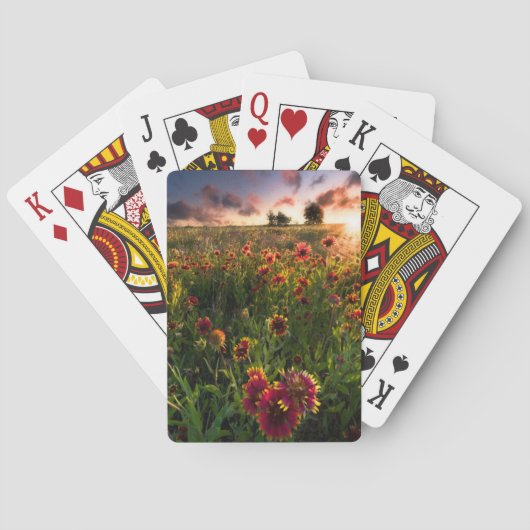 Jeu De Cartes Fleurs | Fleur sauvage indien Texas (dos)