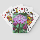 Jeu De Cartes Fleurs roses d'Astrantia (dos)