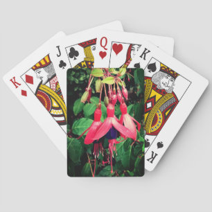 Jeu De Cartes Fleurs rouges et violettes