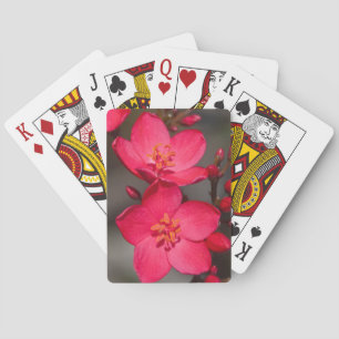Jeu De Cartes Fleurs tropicales rouges et roses de Fidji