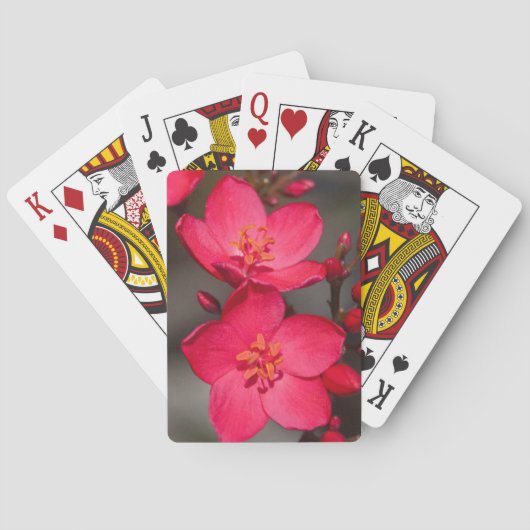 Jeu De Cartes Fleurs tropicales rouges et roses de Fidji (dos)