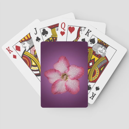 Jeu De Cartes Flore rose Adenium Violet rayé (dos)